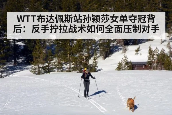 WTT布达佩斯站孙颖莎女单夺冠背后：反手拧拉战术如何全面压制对手
